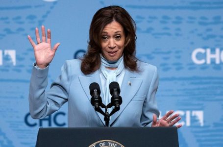 Harris team ‘not aware’ of stolen Trump docs sent ‘directly’ to Biden camp