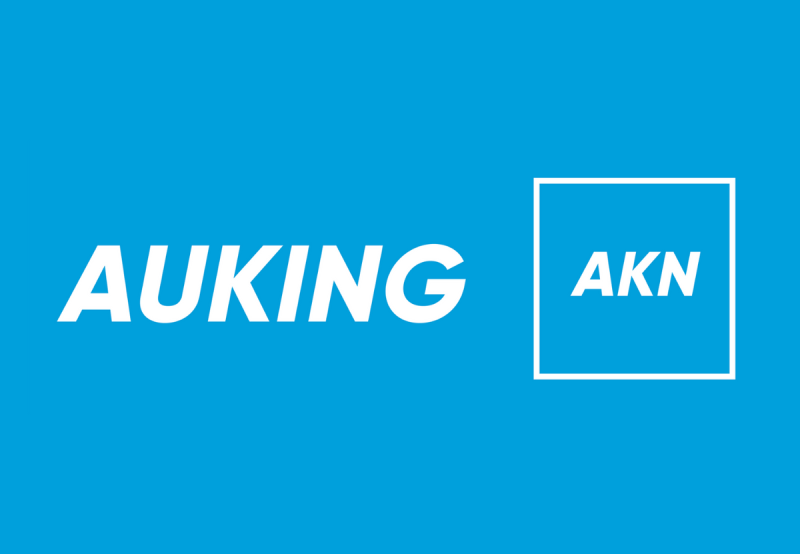  AuKing Mining