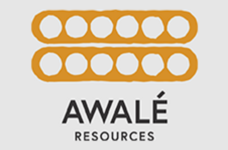 Awalé Announces Voting Results from Annual General & Special Meeting of Shareholders and Grant of Options and Share Units