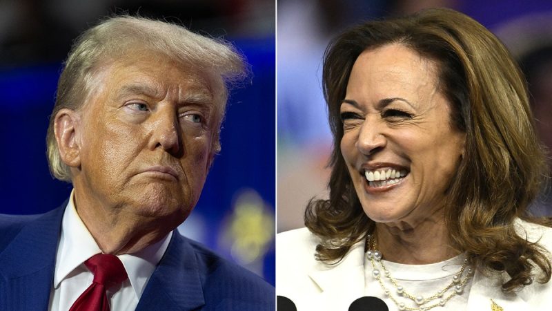  Iran supports Kamala Harris, but Americans who want a safer world have a better choice