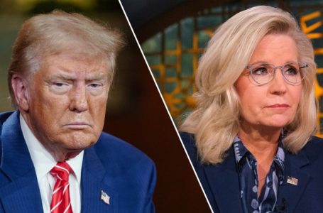 Trump lambastes Liz Cheney as ‘Crazed Warhawk’ as she campaigns for Kamala Harris