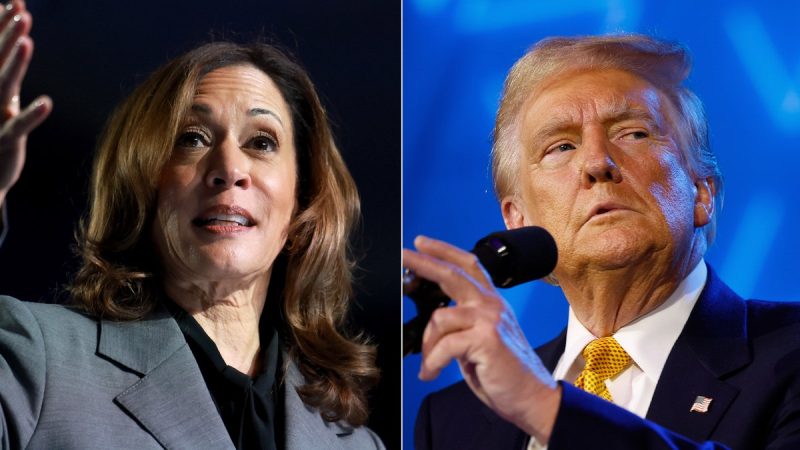  Harris takes slim lead over Trump in new poll as voters view her as candidate of change