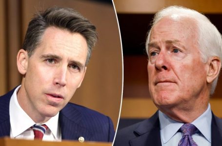 Sen. Josh Hawley ‘delighted’ to back Sen. John Cornyn for Senate Majority Leader