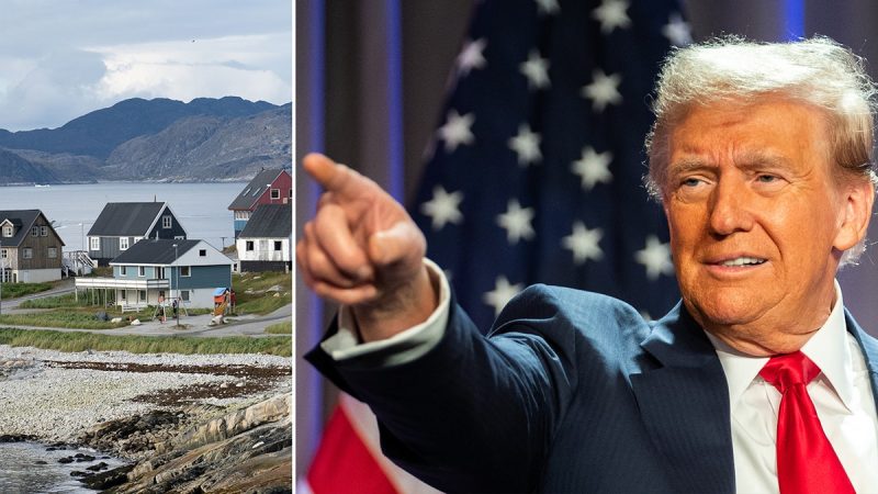  ‘Make Greenland Great Again’: Trump’s House GOP allies unveil bill to authorize country’s purchase