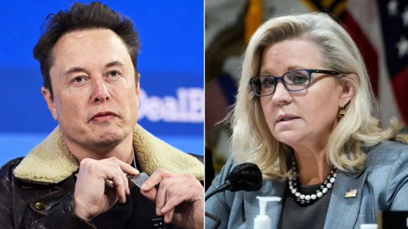  ‘Damn right’: Liz Cheney’s past USAID employment faces backlash after lashing out at Elon Musk