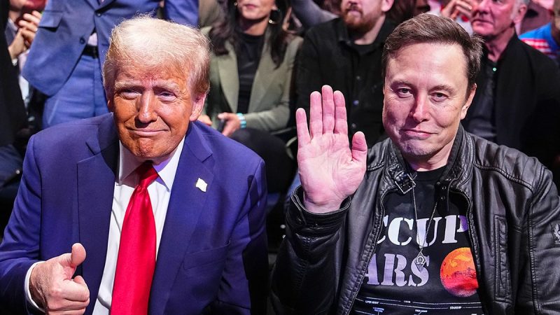  DOGE Wars: Ruling expected as states seek restraining order against Musk, Trump quest to slash bureaucracy