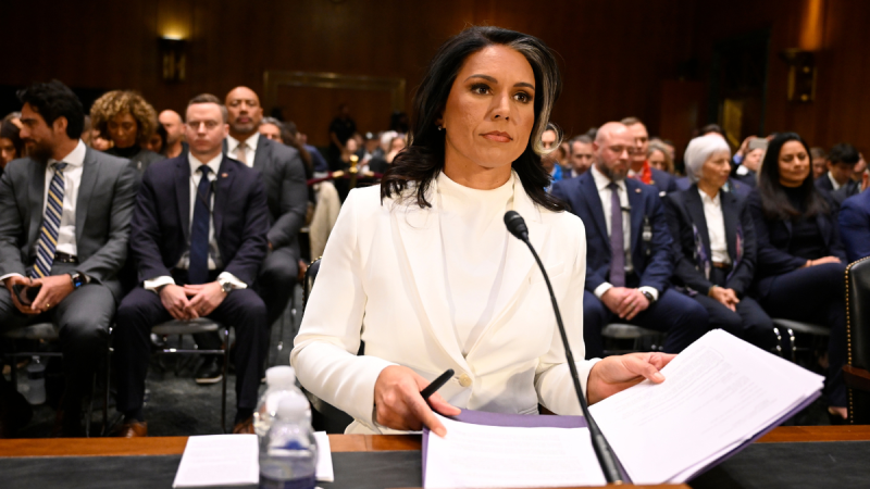  Tulsi Gabbard advances out of Intel Committee in boost to confirmation odds