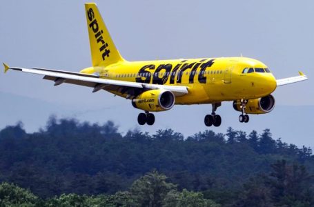 Spirit Airlines, fresh from bankruptcy, is ready to take on the new Southwest, CEO says