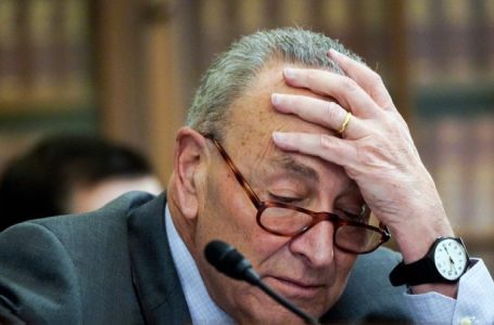 Shutdown averted after Schumer caves and backs Trump spending bill