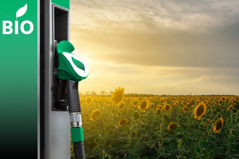  6 US Biofuel Stocks in 2025