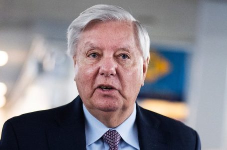 Lindsey Graham to push ‘bone-breaking sanctions and tariffs’ to pressure Russia into peace with Ukraine