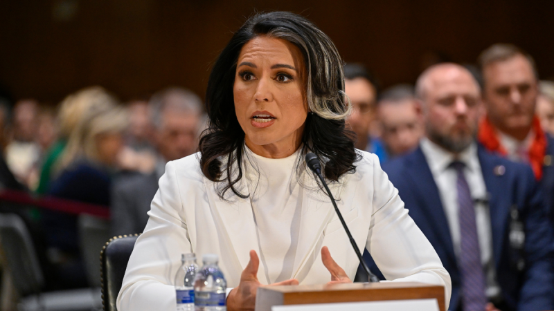  DNI Gabbard sounds off on Europe’s ‘divergence’ from U.S. values after tense Trump-Zelenskyy meeting