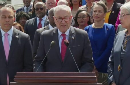 The ‘F-word’: Schumer says Trump’s first 100 days can be distilled to single utterance