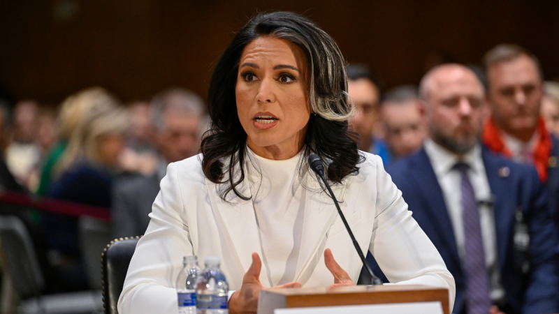  DNI Gabbard refers intel officials to DOJ for prosecution over alleged leaks of classified information