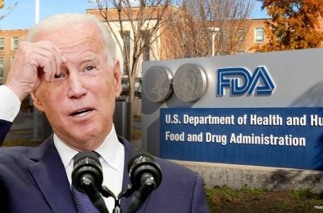 Key Biden agency dropped $60K on overseas conference with DEI workshop: ‘Should never happen’