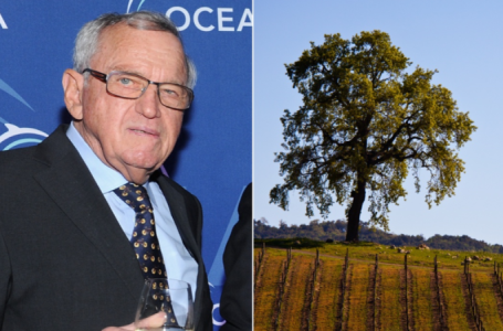Swiss-born liberal megadonor slapped with lawsuit for allegedly groping, sexually harassing winery employee