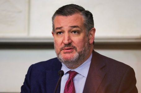Ted Cruz wants Uncle Sam to give each American baby $1,000