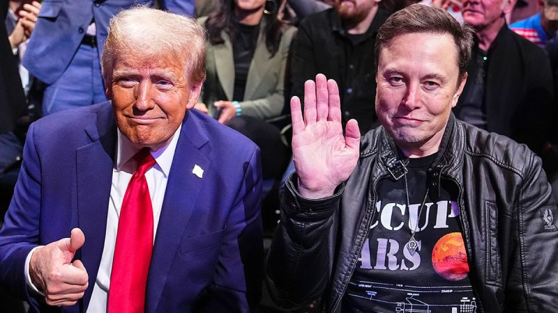  What’s next for DOGE after Elon Musk’s departure? ‘Only just begun’