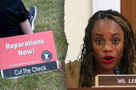 Far-left congresswoman revives ousted ‘Squad’ Dem’s reparations push for Black Americans: ‘We are awake’