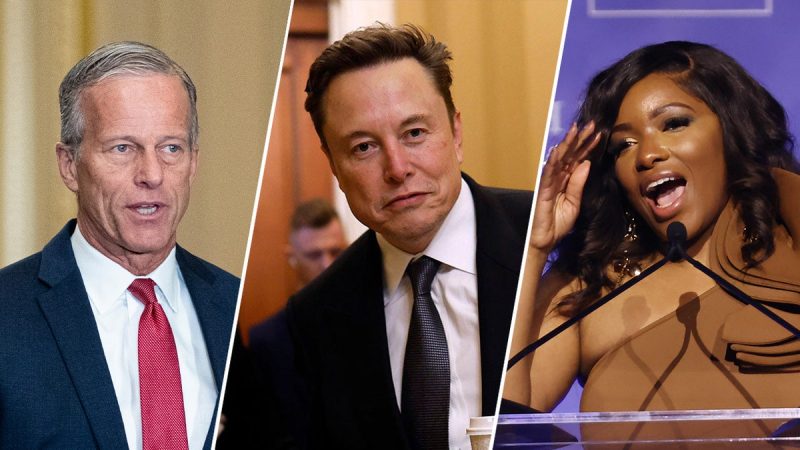  ‘American hero’ or ‘failure’: Elon Musk’s DOGE departure divides Capitol Hill