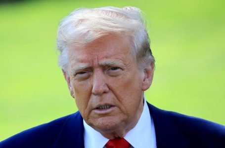Trump dubs Dems ‘out of control,’ suggests GOP consider kicking them out of Congress for ‘REAL crimes’
