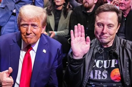 South African-born Musk evoked by Trump during meeting with nation’s leader: ‘Don’t want to get Elon involved’