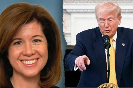 Senate parliamentarian: Who is the unelected official getting say on Trump’s ‘big, beautiful bill?’