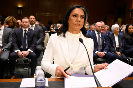 Gabbard fires ‘deep state’ heads of National Intelligence Council to root out ‘politicization of intel’