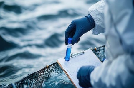 China’s Breakthrough in Uranium Seawater Extraction Boosts Efficiency by 40 Times