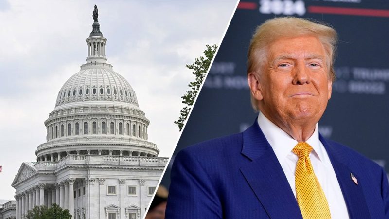  Trump’s conservative allies warn Congress faces critical ‘test’ with $9.4B spending cut proposal