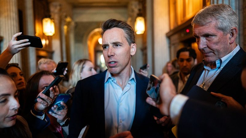  Hawley clashes with UPenn law professor over judicial injunctions