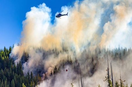 Wildfires Slash Canadian Oil Output by 7 Percent