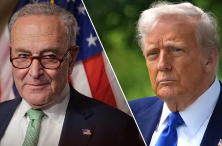 Schumer, Democrats plot coordinated resistance to Trump’s ‘one ugly bill’