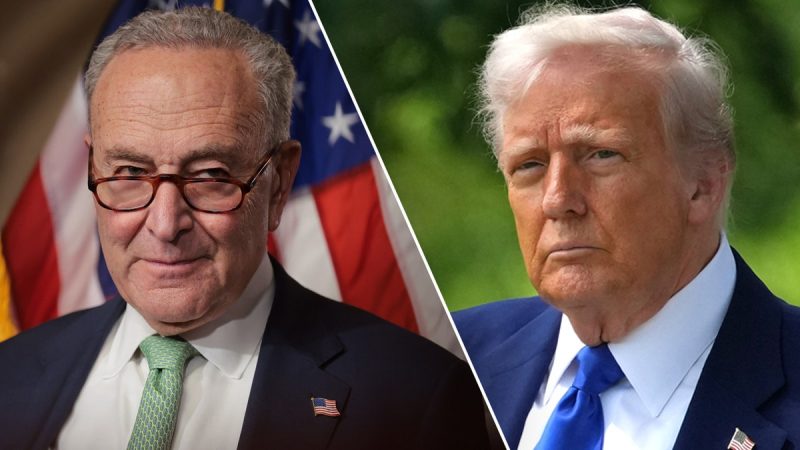 Schumer, Democrats plot coordinated resistance to Trump’s ‘one ugly bill’