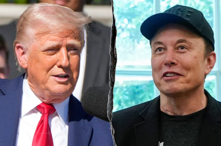 Musk deletes explosive posts about Trump and Epstein files