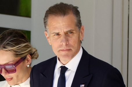 Hunter Biden special counsel got ‘one resume’ from DOJ to help prosecute president’s son