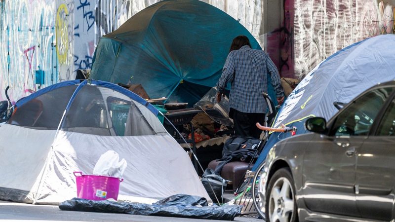  DAVID MARCUS: I’ve seen enough human suffering in homeless encampments to know Trump’s new policy is right