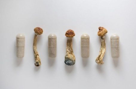 Psychedelics Market Update: H1 2025 in Review
