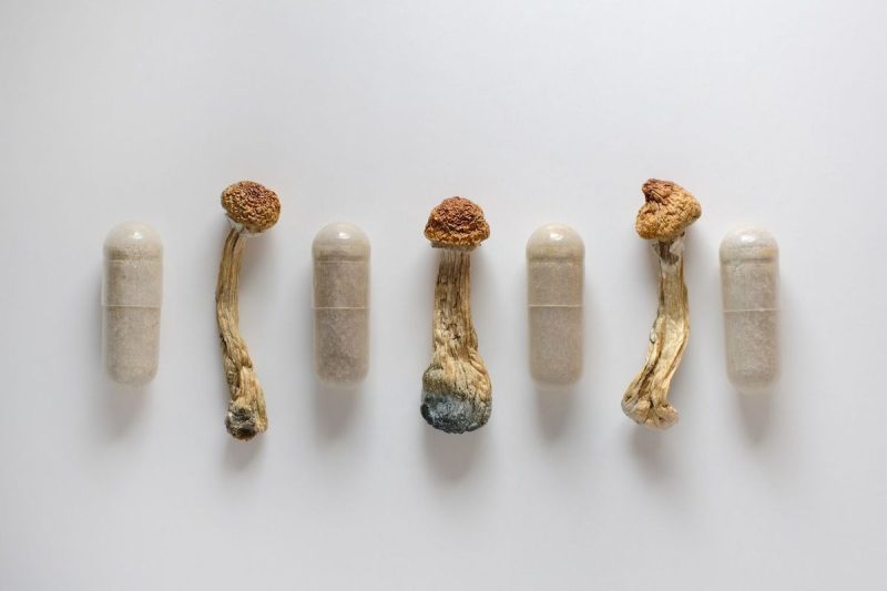 Psychedelics Market Update: H1 2025 in Review