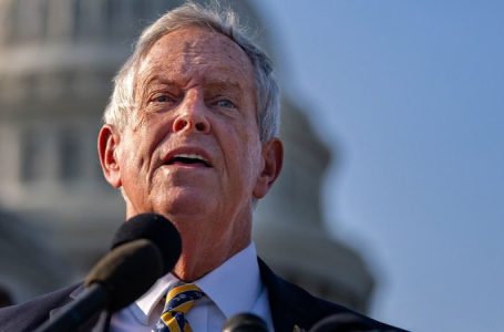 Pro-Israel congressman accuses Tel Aviv of ‘mocking’ Trump with ‘suicidal’ strikes in Syria