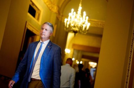 GOP senator reveals the ‘dirty’ secret to Trump’s Make America Healthy Again movement