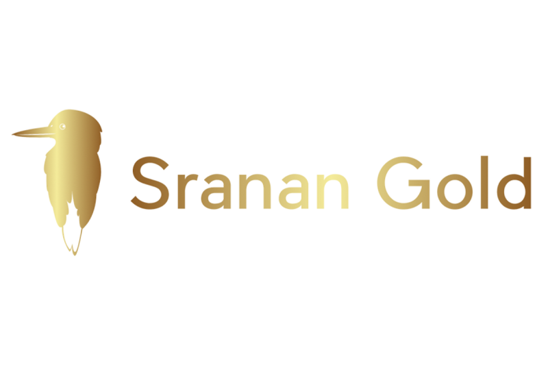  Sranan Gold Provides Progress Update on Drilling Campaign at the Tapanahony Gold Project in Suriname