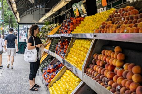 U.S. farm agency allows six more states to bar some items from food aid
