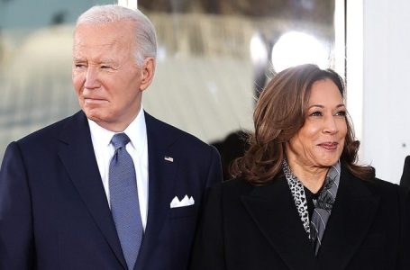 Kamala Harris back in national spotlight as James Comer floats subpoena in Biden ‘cover-up’ probe