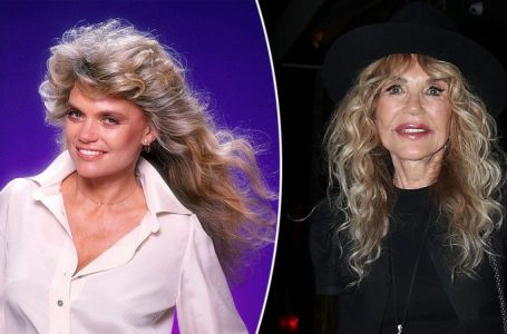 Dyan Cannon denied White House entry after lying about her age on passport documents