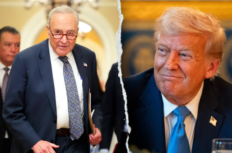 Senate GOP ready to go nuclear after Schumer’s ‘political extortion’ of nominees