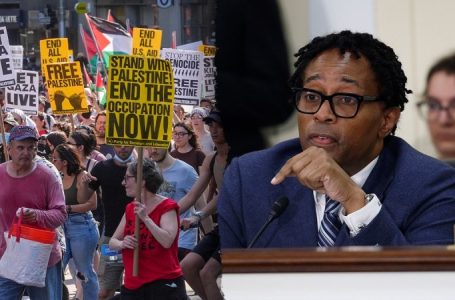 House Democrat clashes with activists over Israel ‘genocide’ as pro-Palestinian protests derail town hall