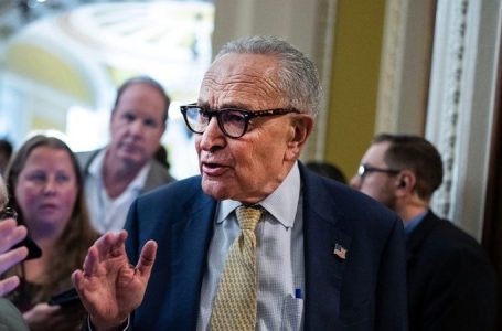 ‘So many lies’: Schumer ambushes GOP with surprise Epstein files amendment