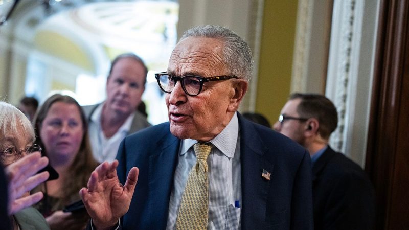  ‘So many lies’: Schumer ambushes GOP with surprise Epstein files amendment
