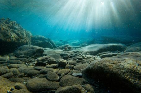 Baltic Sea Rock Lumps Hold Clues to Rare Metals — and Ecological Risks